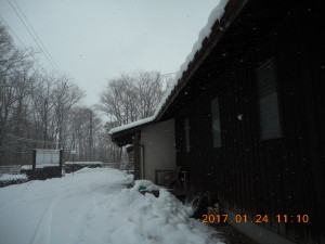 H290124雪 (7)