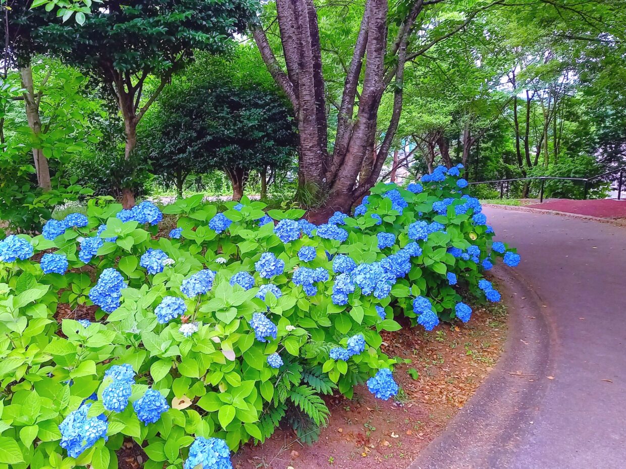 那須の別荘に定住はできる？ 移住前に知っておきたい生活環境・費用・物件選びの現実