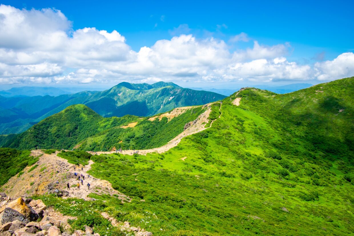 使わなくなった那須の別荘、どうする？ 管理・売却・買取それぞれの選択肢を比較